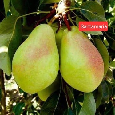 WhatsApp Image 2026-03-22 at 212 - Kopya